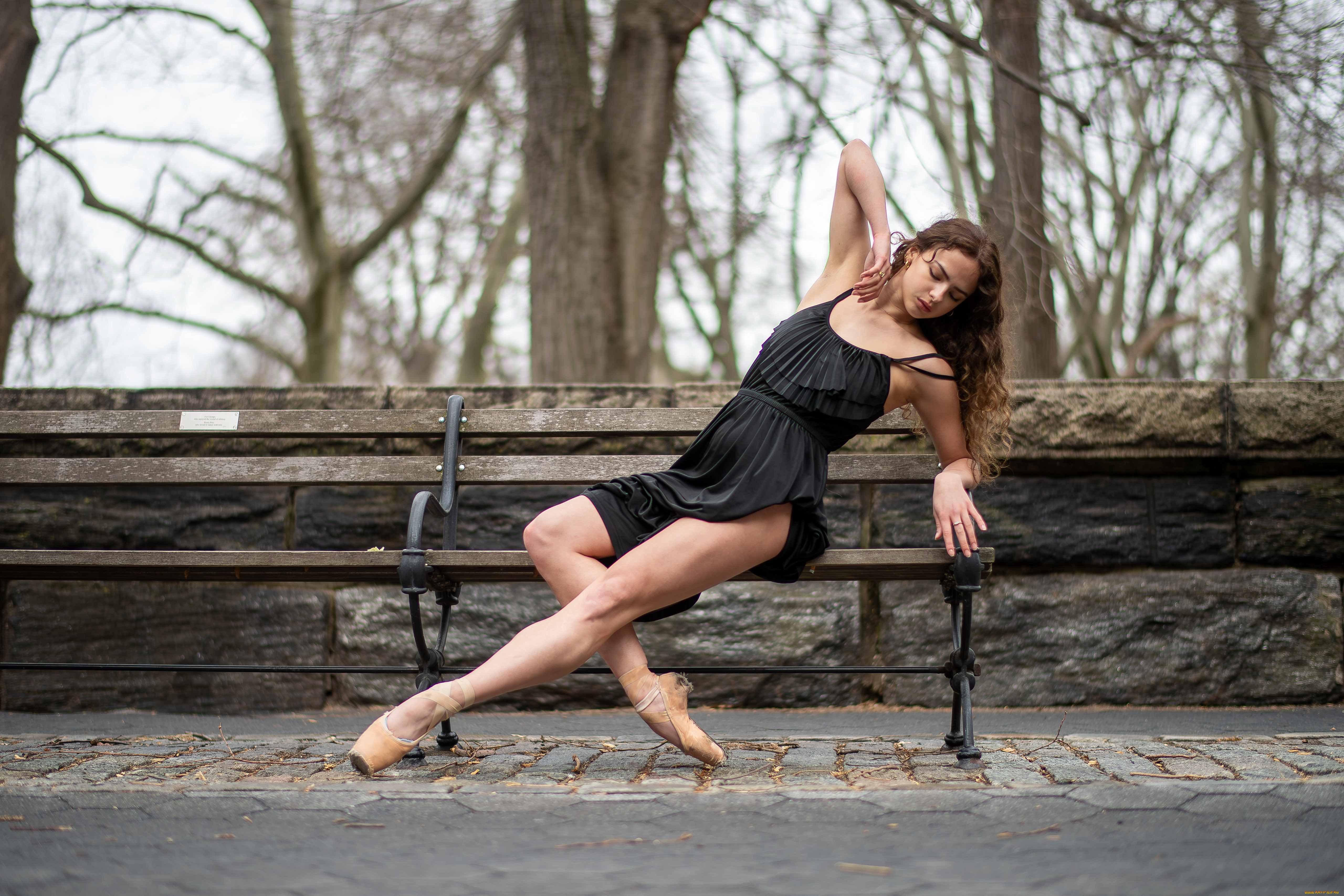 ����������� �������, �������, - ��������,  �������, �������, �������, �������, ������������, �����������, ������, ������, ��������, ������, �����, �������, ��������, ������, ������, �����������, �����, �����, ������, ��������, �����, ����������, ������, �, ���������, ���������, ��, ����������